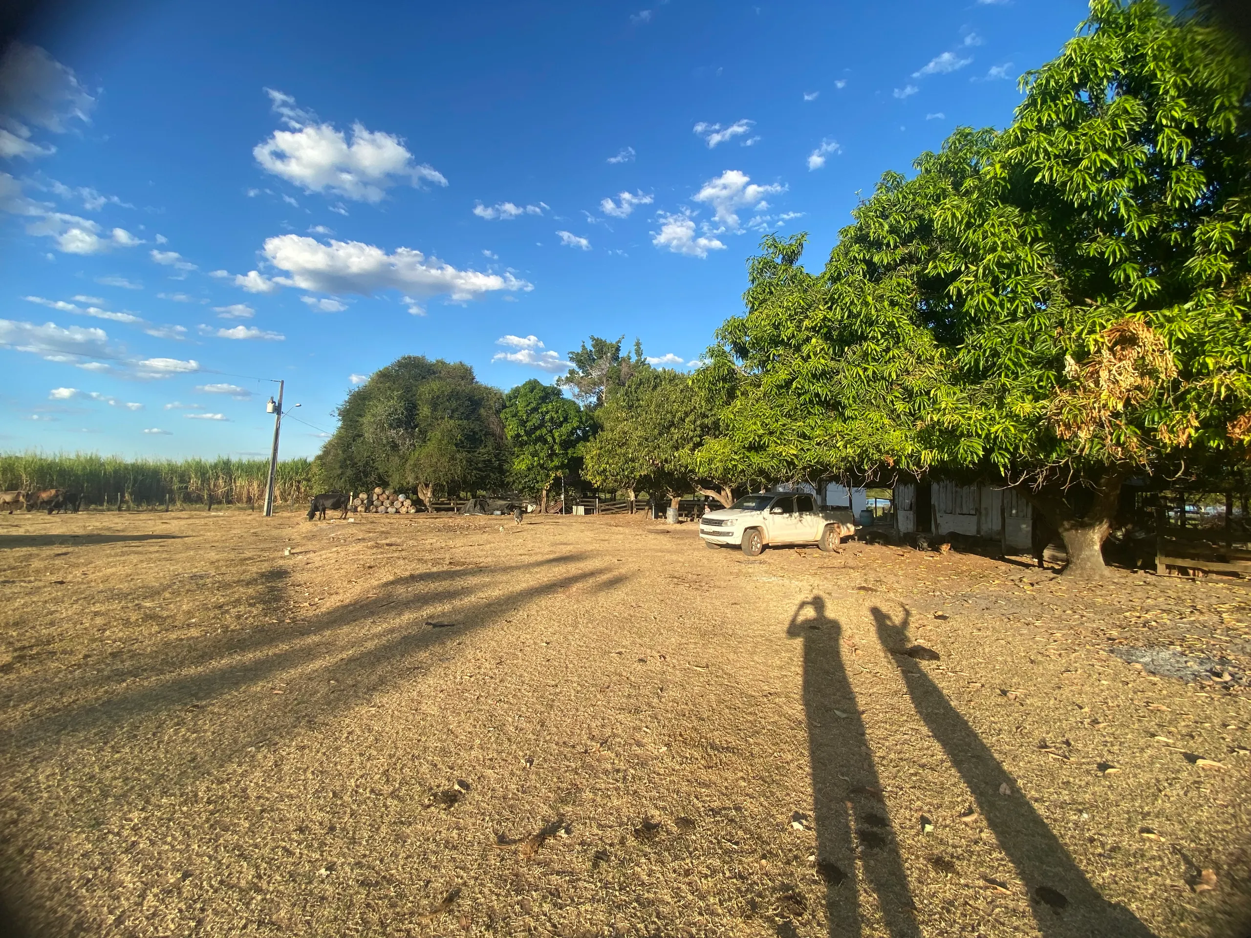 Fazenda à venda de 387 ha em Redenção, PA, Brasil
