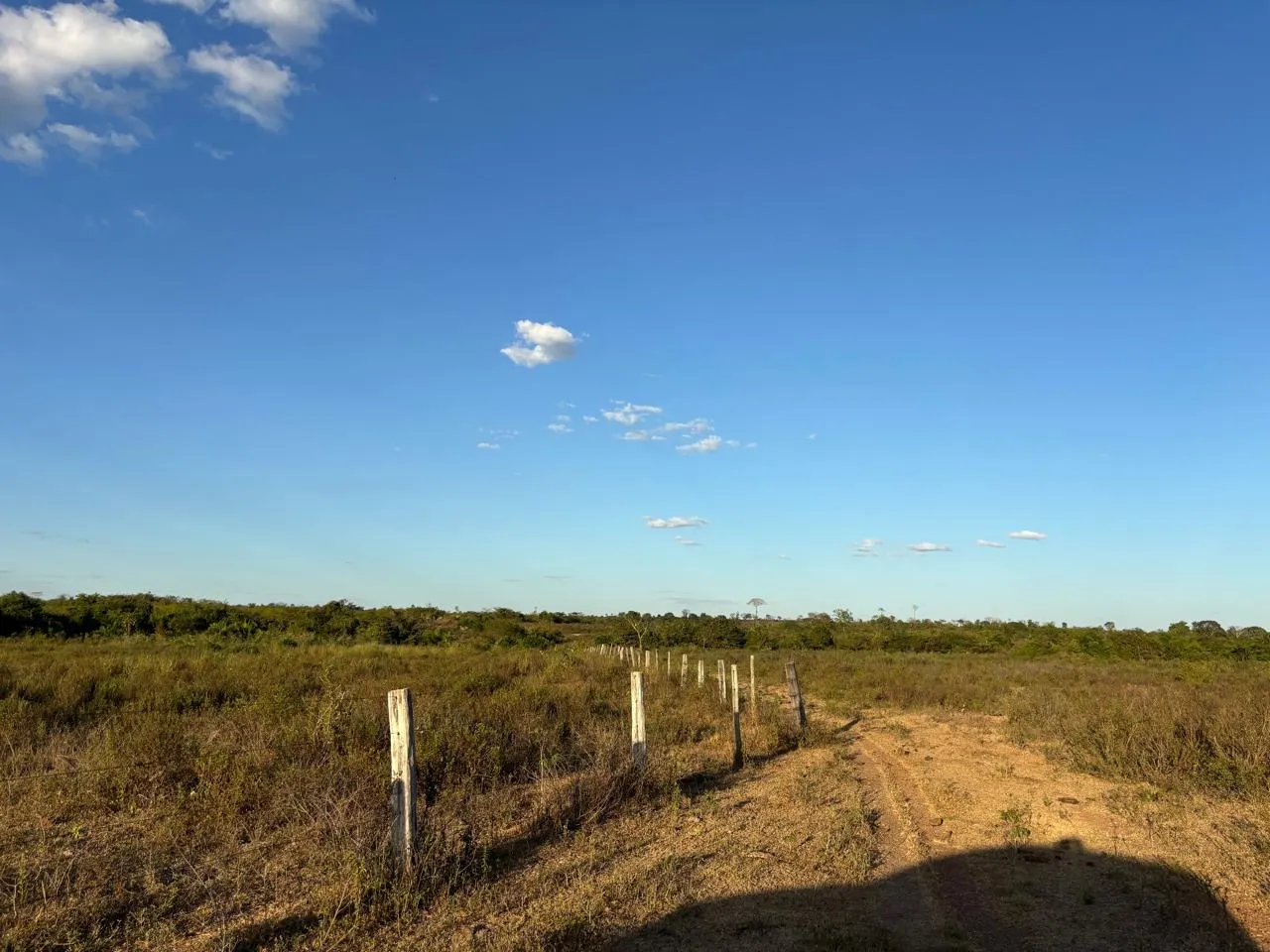 Fazenda à venda de 387 ha em Redenção, PA, Brasil