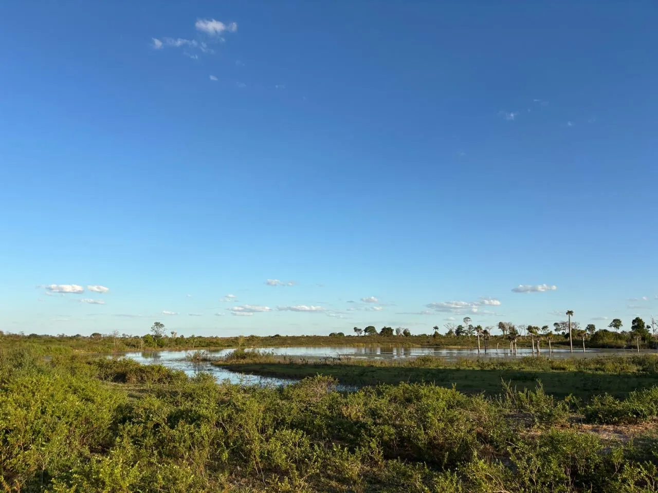 Fazenda à venda de 387 ha em Redenção, PA, Brasil