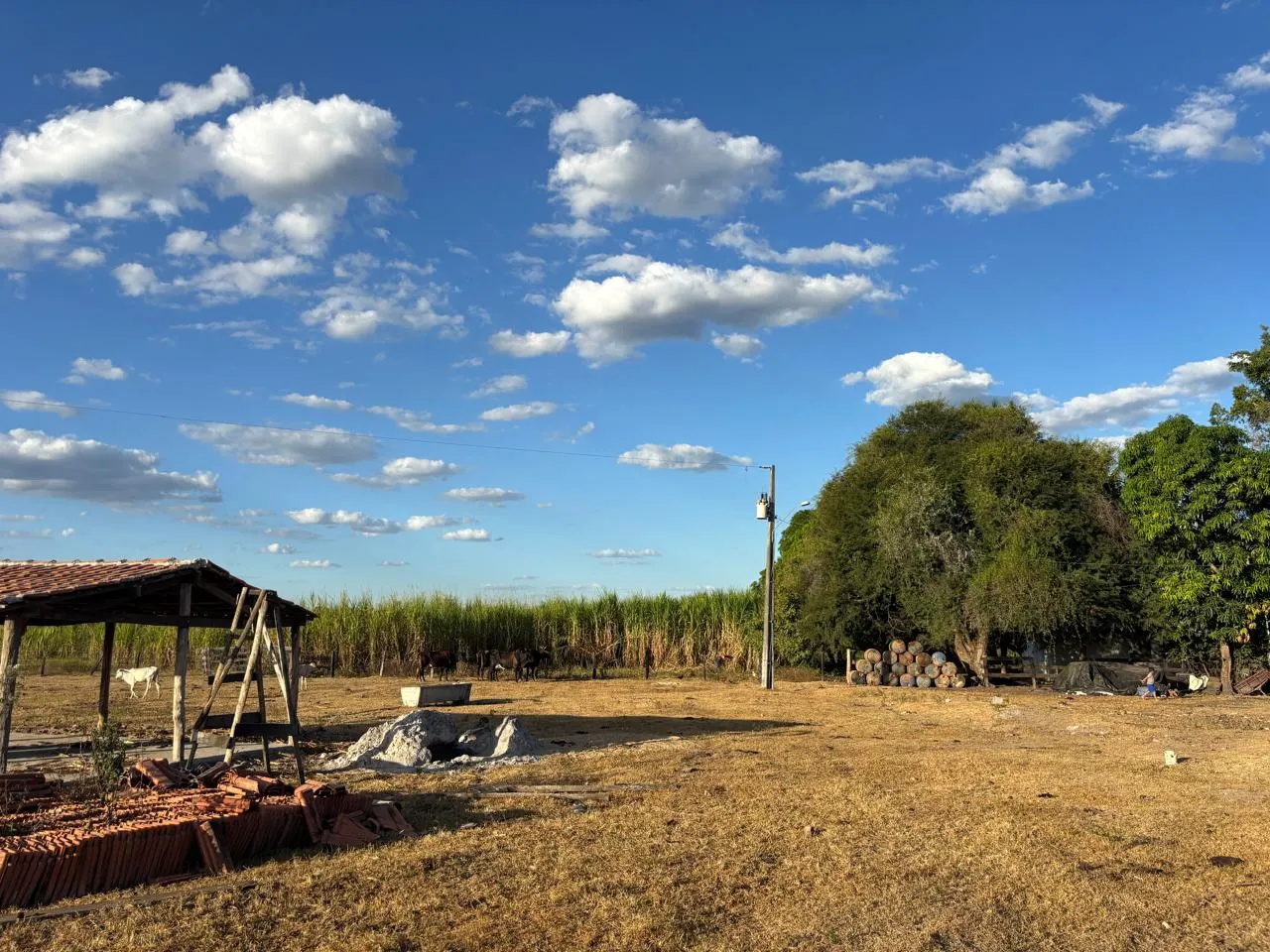 Fazenda à venda de 387 ha em Redenção, PA, Brasil