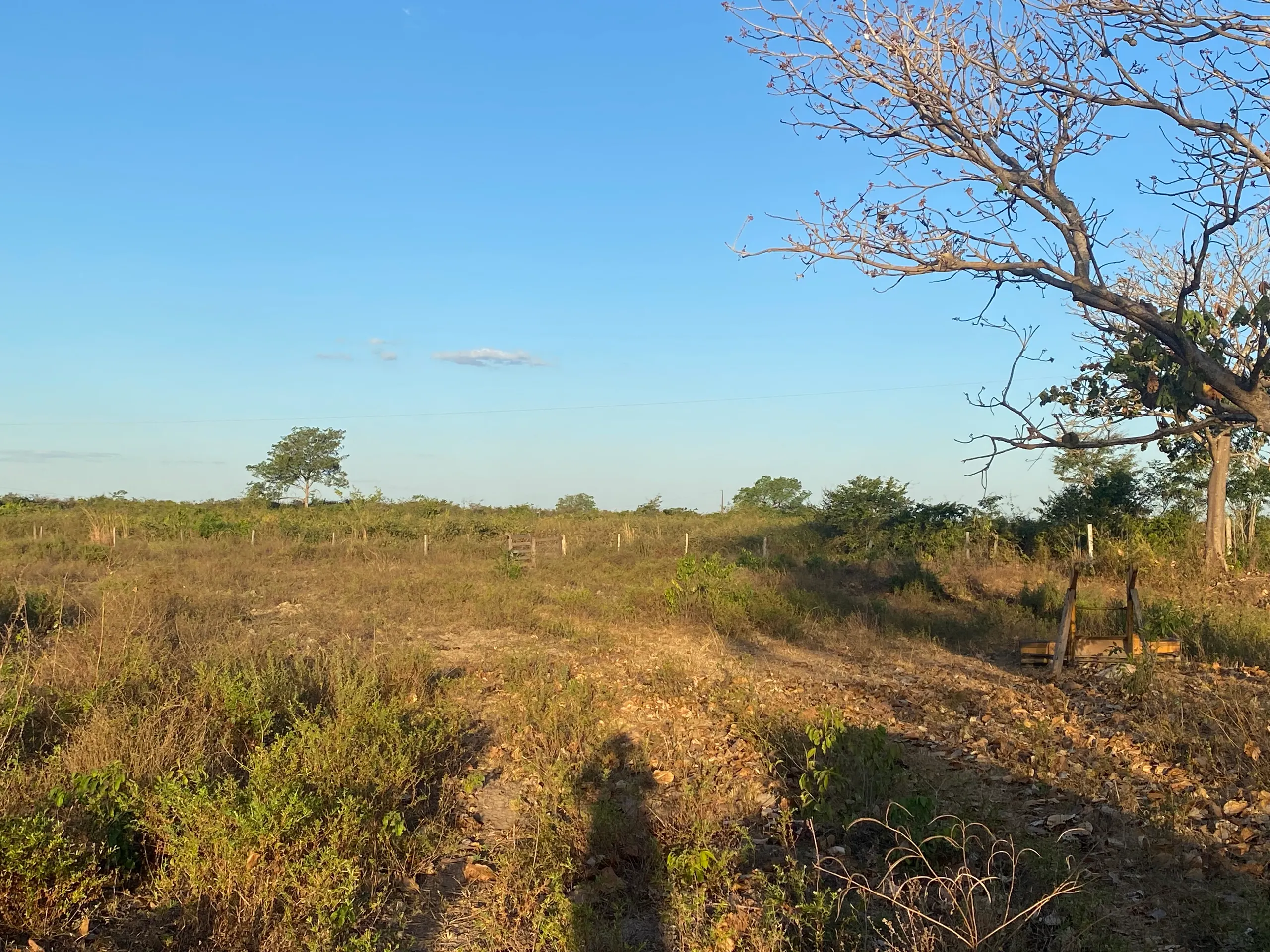 Fazenda à venda de 387 ha em Redenção, PA, Brasil