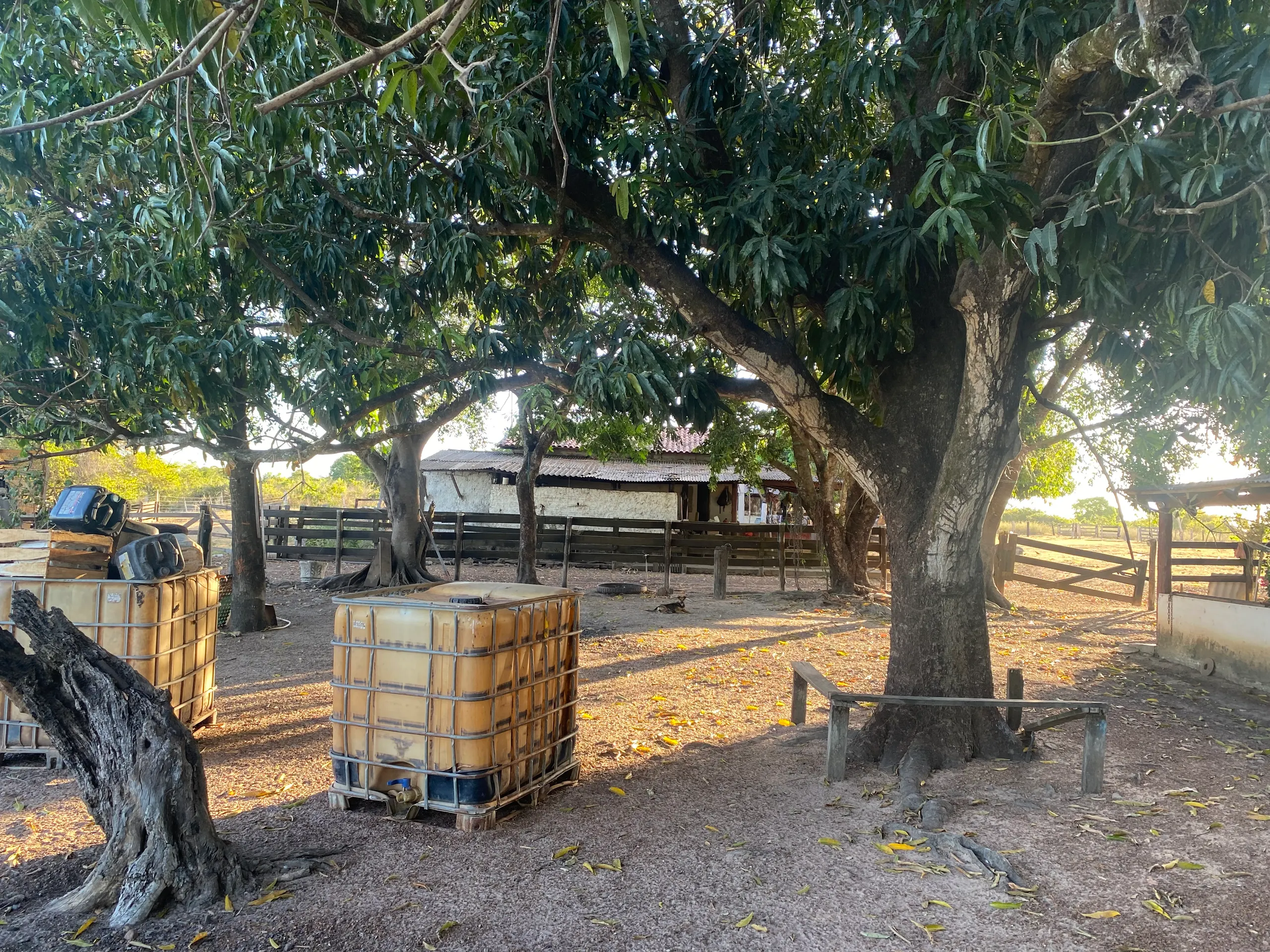 Fazenda à venda de 387 ha em Redenção, PA, Brasil