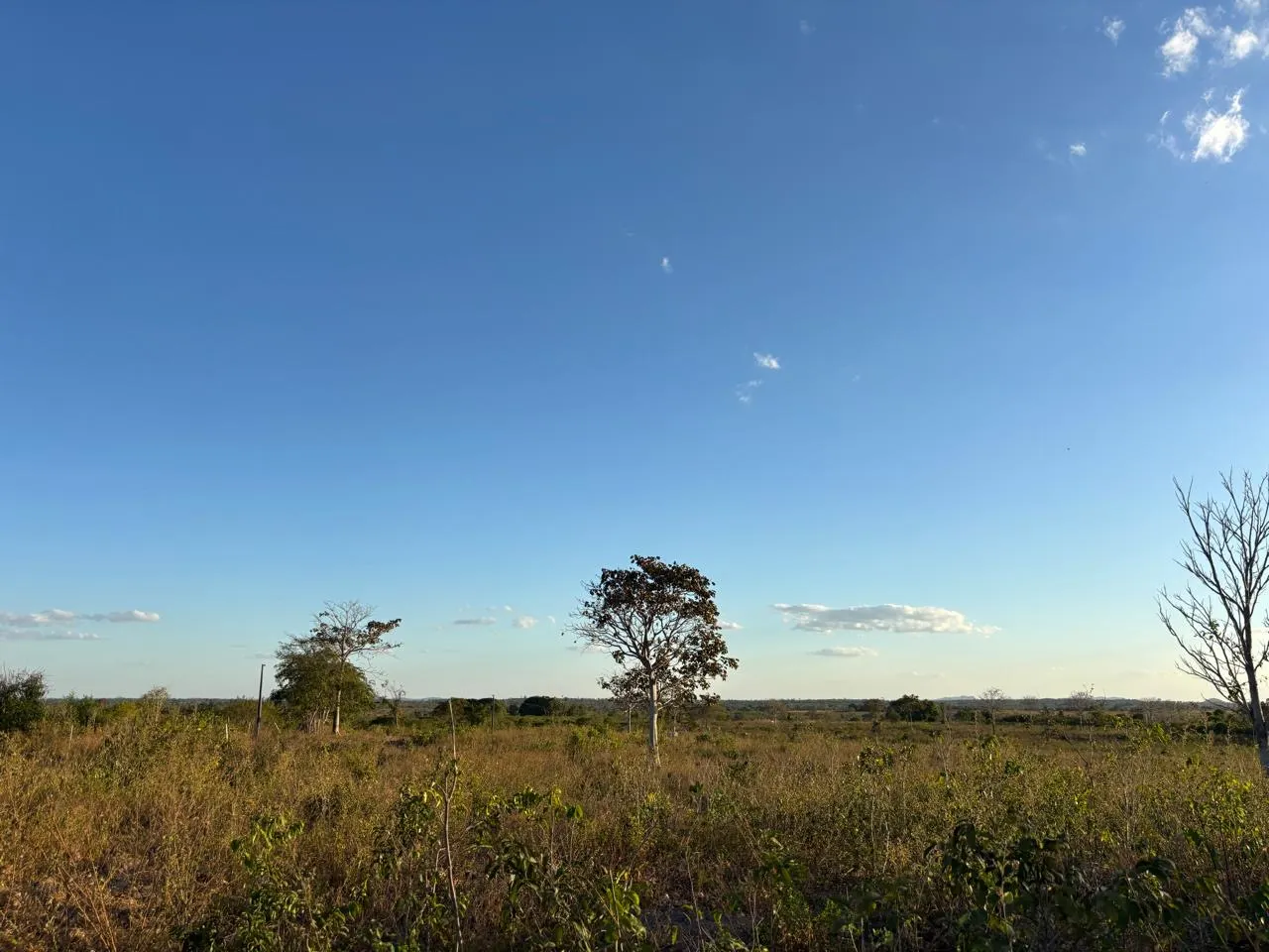 Fazenda à venda de 387 ha em Redenção, PA, Brasil