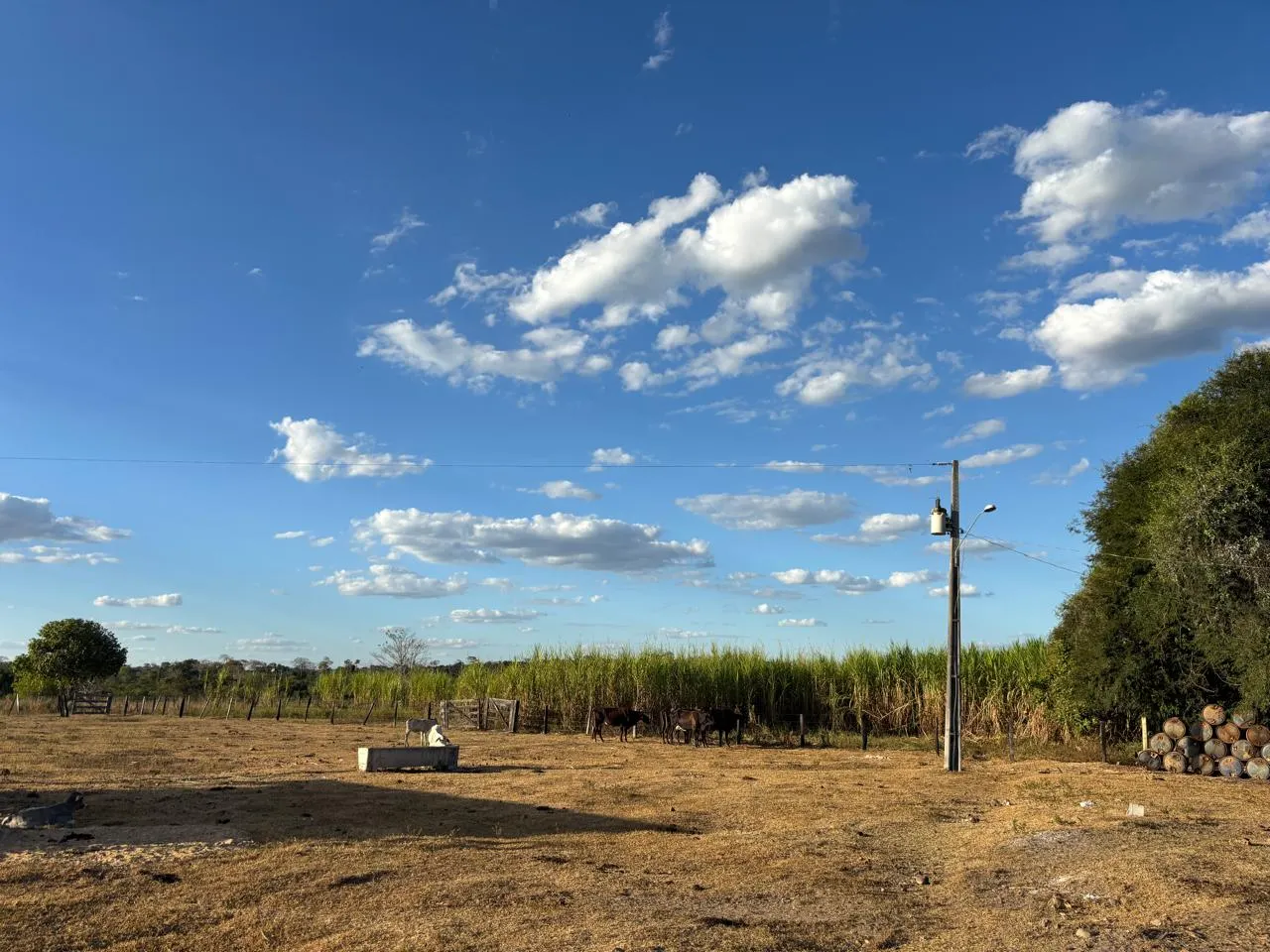 Fazenda à venda de 387 ha em Redenção, PA, Brasil