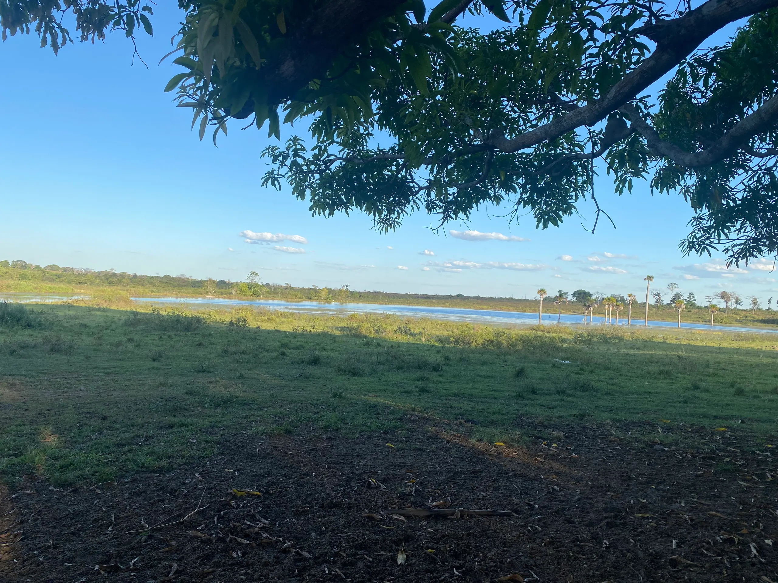 Fazenda à venda de 387 ha em Redenção, PA, Brasil
