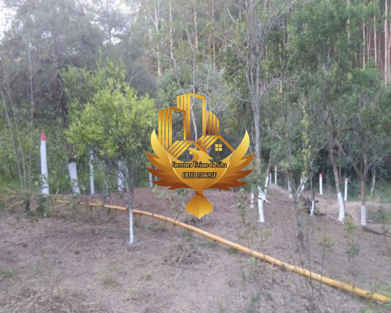 Sítio à venda de 4 ha em Lagoinha, SP, Brasil