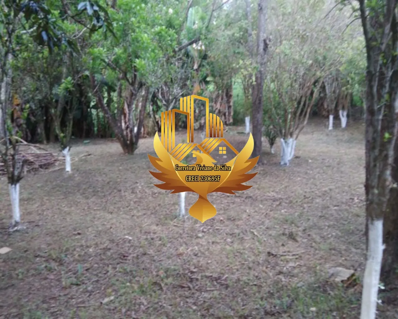 Sítio à venda de 4 ha em Lagoinha, SP, Brasil