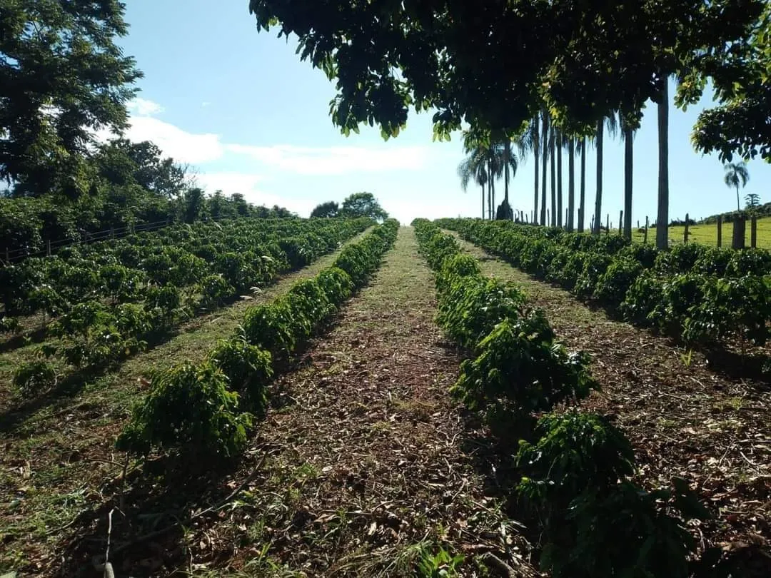 Chácara à venda de 1 ha em Ouro Fino, MG, Brasil