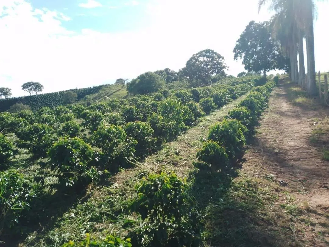 Chácara à venda de 1 ha em Ouro Fino, MG, Brasil