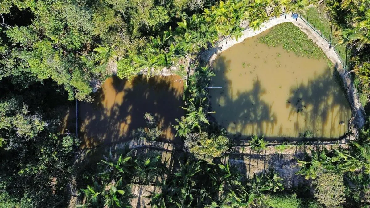 Sítio à venda de 3 ha em Monteiro Lobato, SP, Brasil