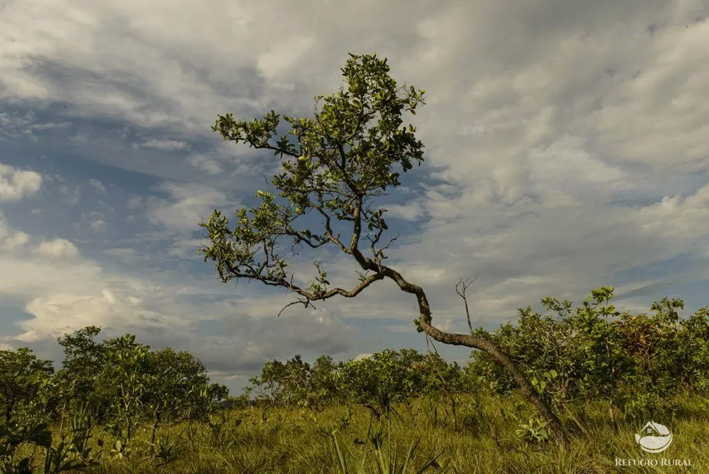 Fazenda à venda de 677 ha em Niquelândia, GO, Brasil