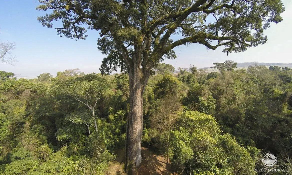 Fazenda à venda de 677 ha em Niquelândia, GO, Brasil
