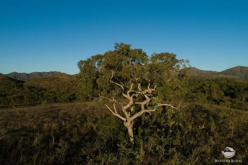 Fazenda à venda de 677 ha em Niquelândia, GO, Brasil