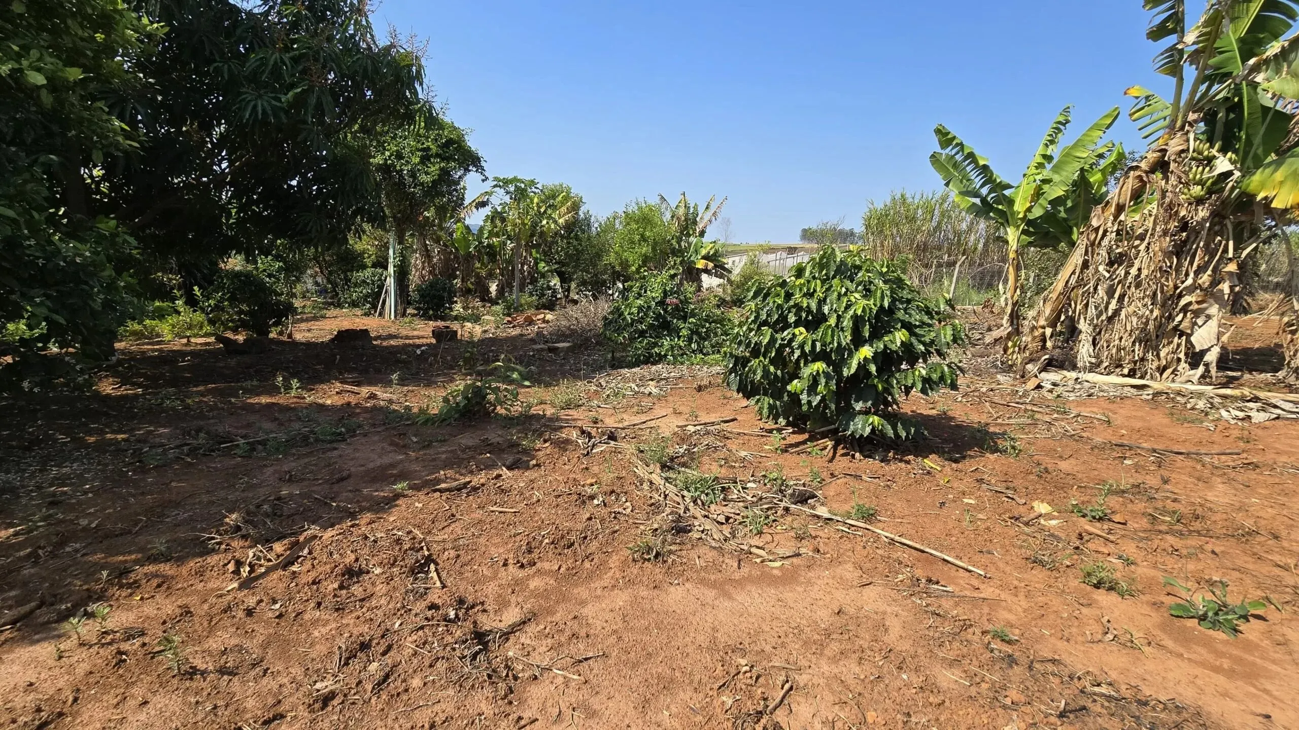 Chácara à venda de 5.000 m² em Jaboti, PR, Brasil