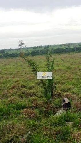 Fazenda à venda de 1.222 ha em Araguaína, TO, Brasil