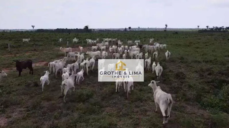 Fazenda à venda de 1.222 ha em Araguaína, TO, Brasil
