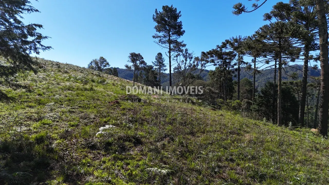 Terreno à venda de 1.410 m² em Campos do Jordão, SP, Brasil