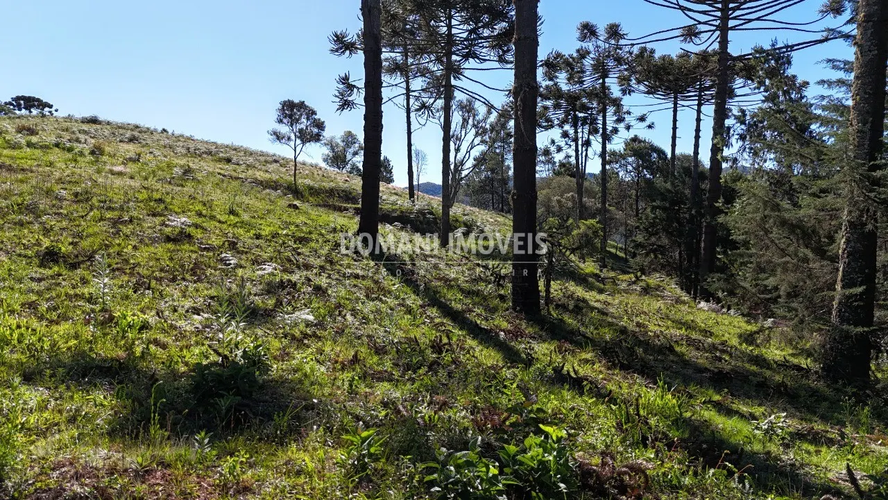 Terreno à venda de 1.410 m² em Campos do Jordão, SP, Brasil