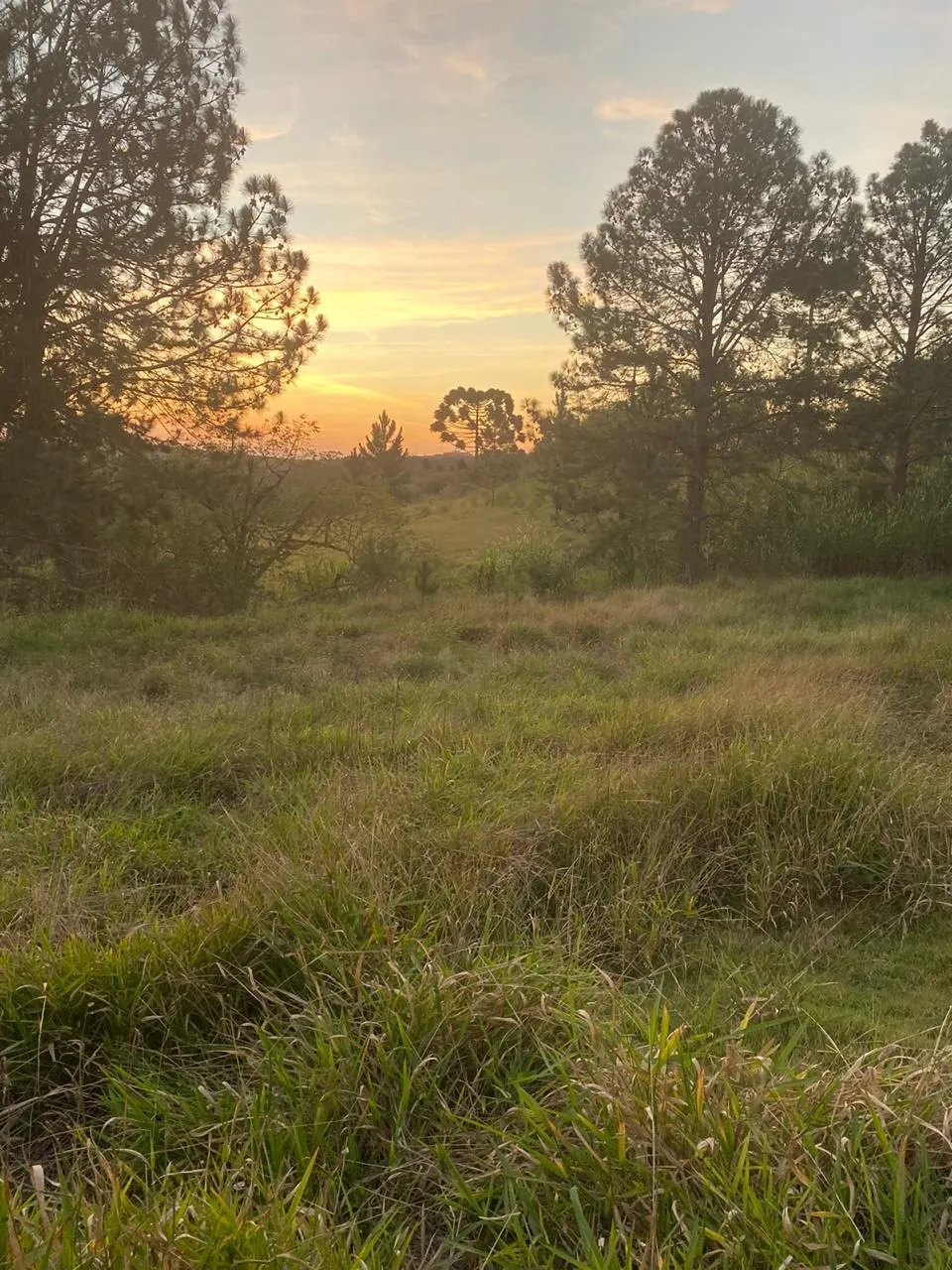 Chácara à venda de 5 ha em São Miguel Arcanjo, SP, Brasil