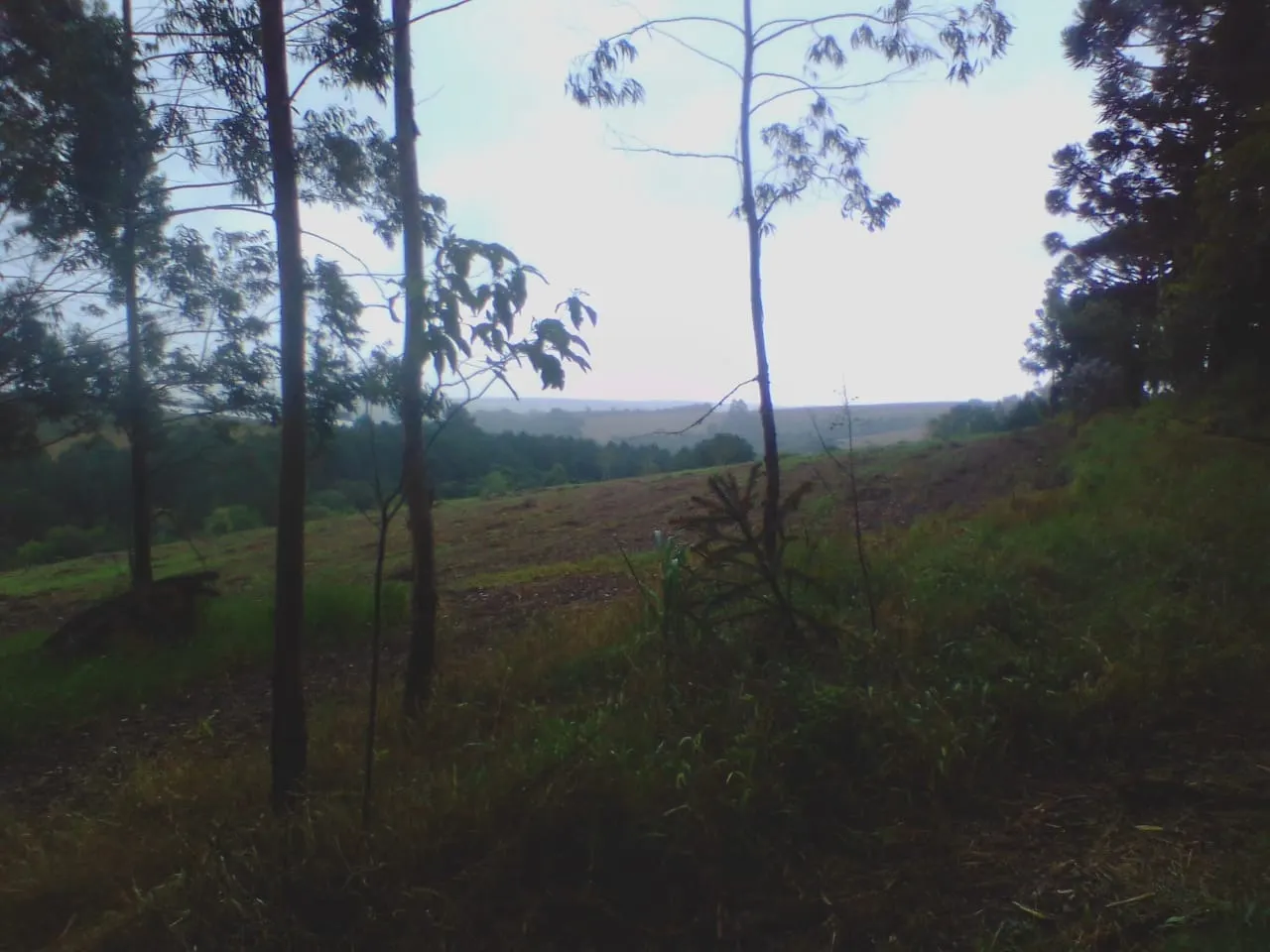 Chácara à venda de 5 ha em São Miguel Arcanjo, SP, Brasil