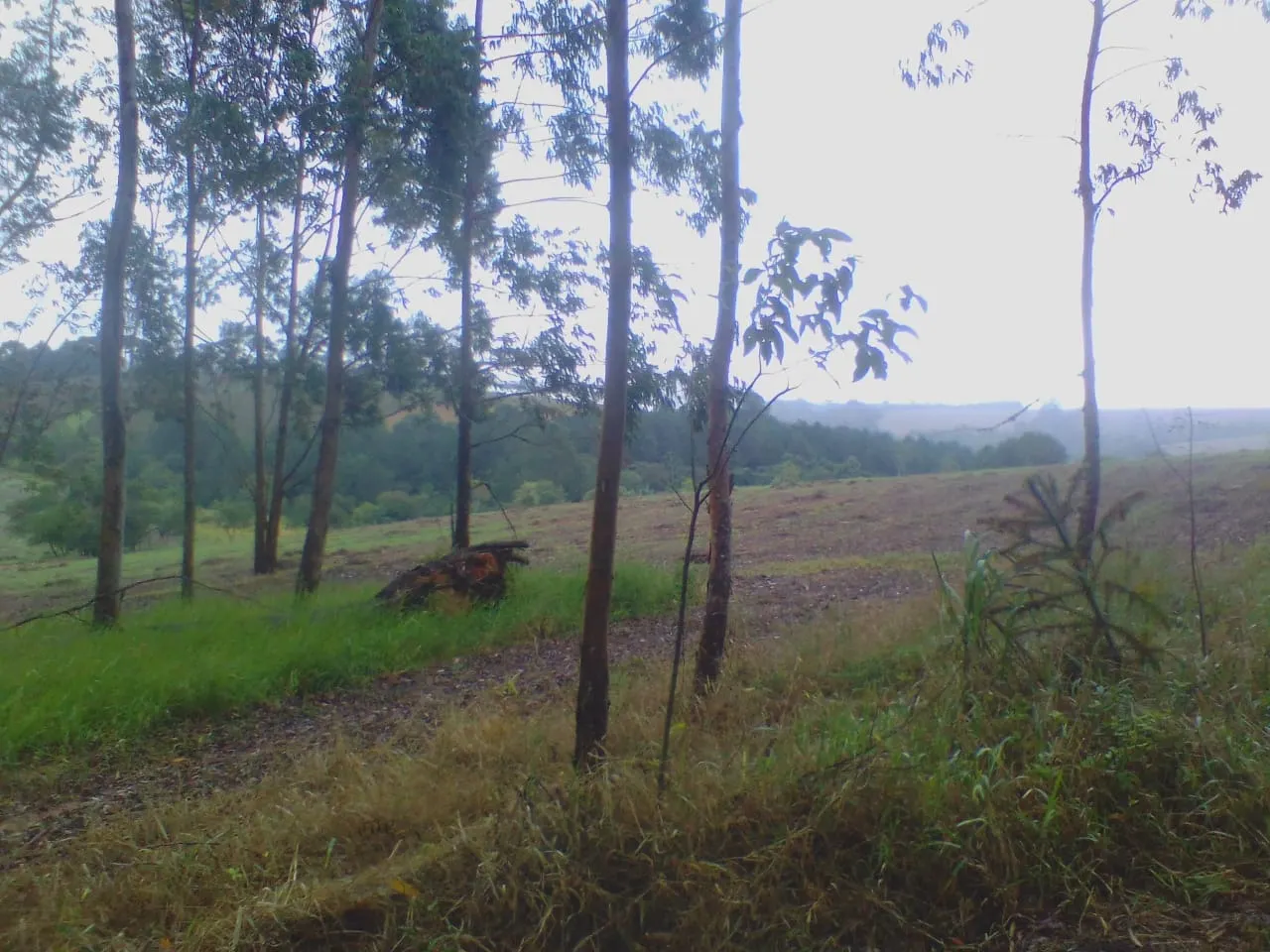 Chácara à venda de 5 ha em São Miguel Arcanjo, SP, Brasil