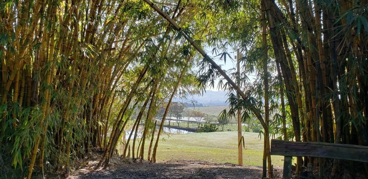 Sítio à venda de 12 ha em Guareí, SP, Brasil