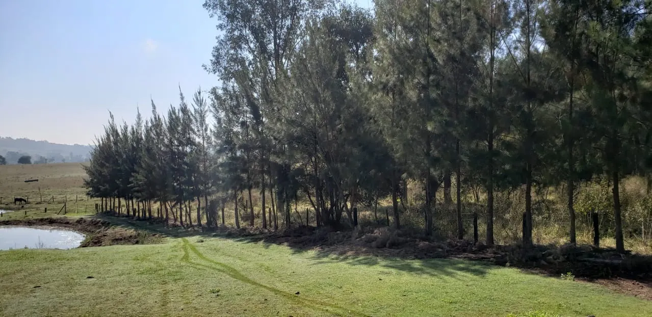 Sítio à venda de 12 ha em Guareí, SP, Brasil