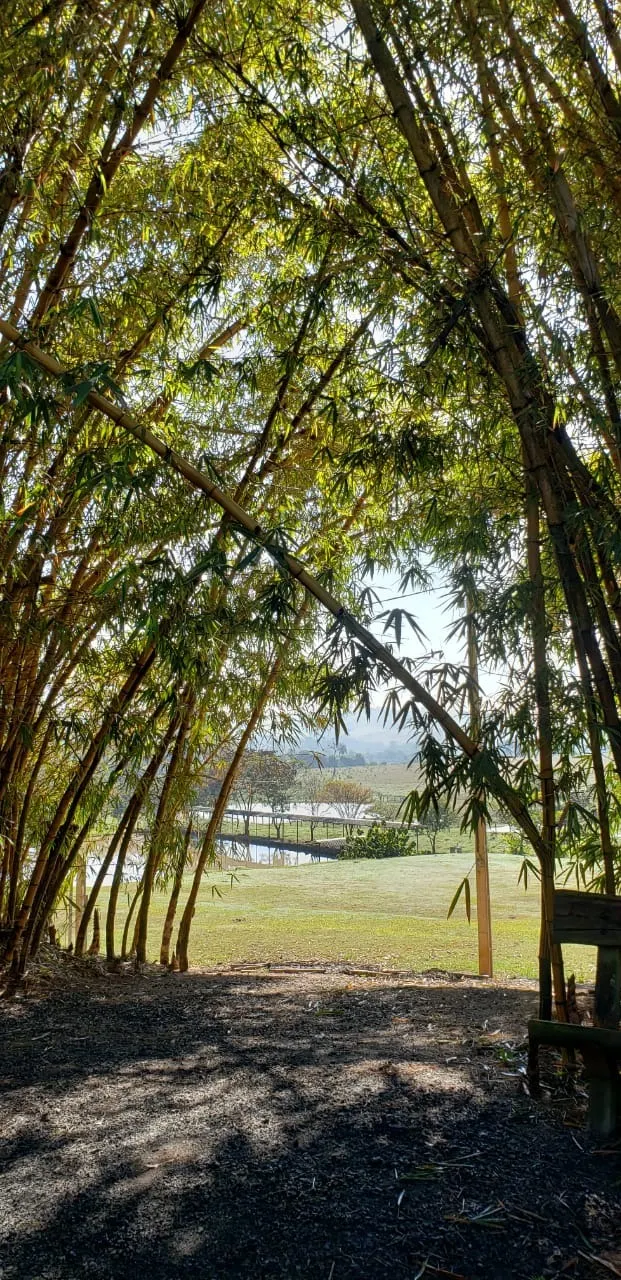 Sítio à venda de 12 ha em Guareí, SP, Brasil