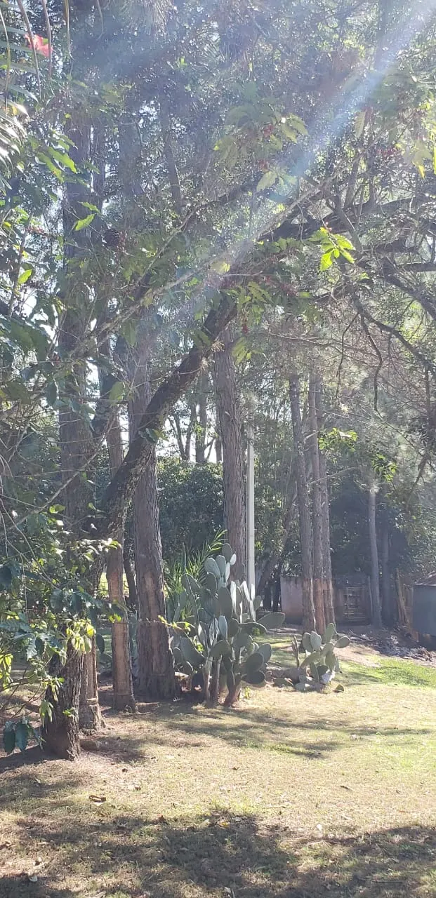 Sítio à venda de 12 ha em Guareí, SP, Brasil