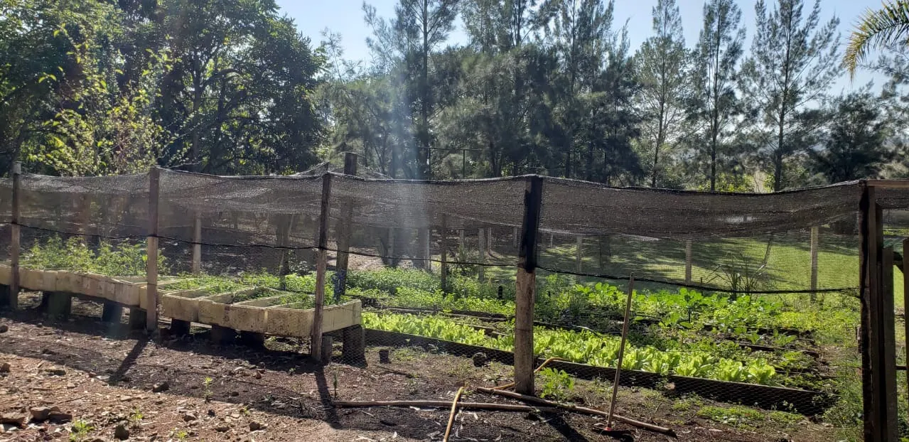 Sítio à venda de 12 ha em Guareí, SP, Brasil