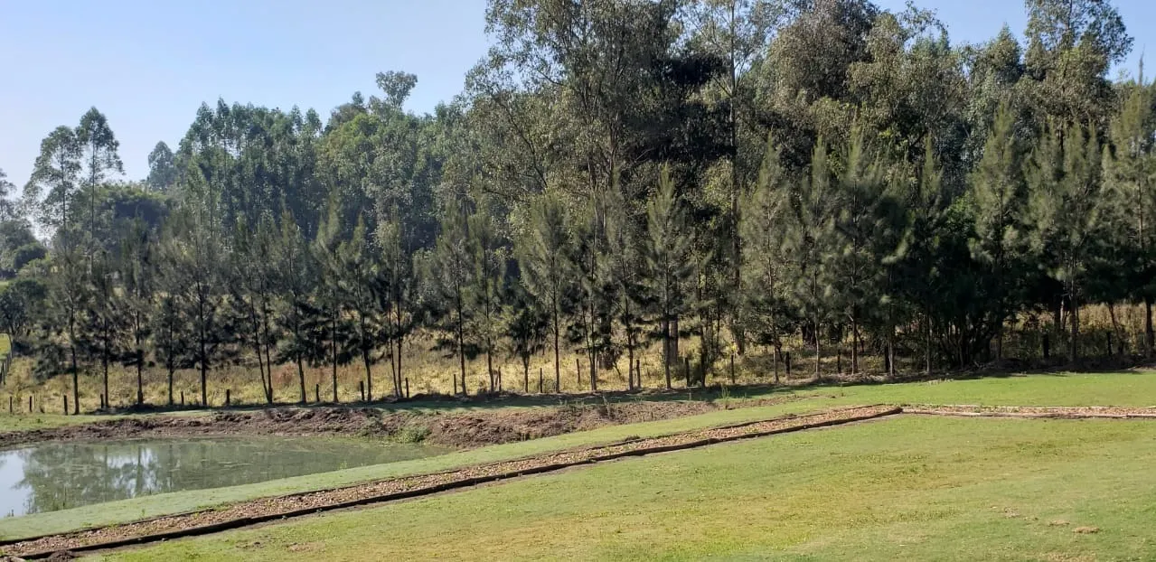 Sítio à venda de 12 ha em Guareí, SP, Brasil