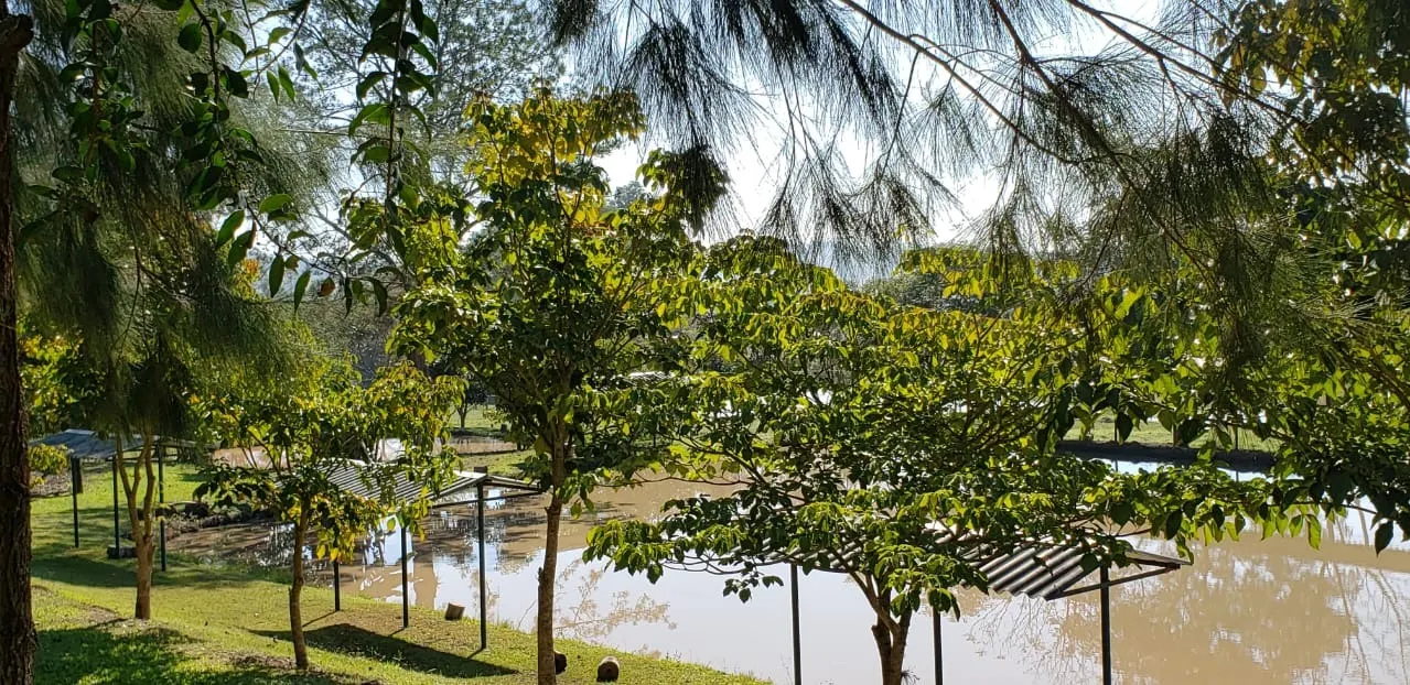 Sítio à venda de 12 ha em Guareí, SP, Brasil