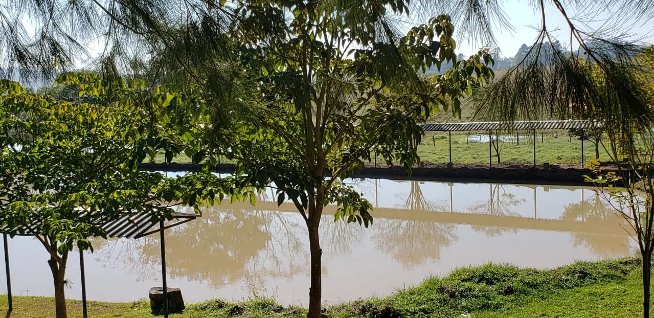 Sítio à venda de 12 ha em Guareí, SP, Brasil