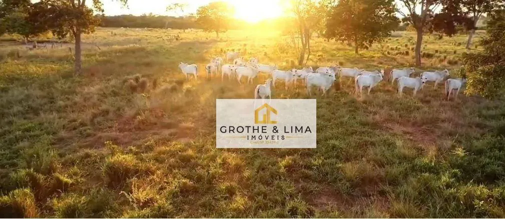 Fazenda à venda de 13.978 ha em Cocalinho, MT, Brasil
