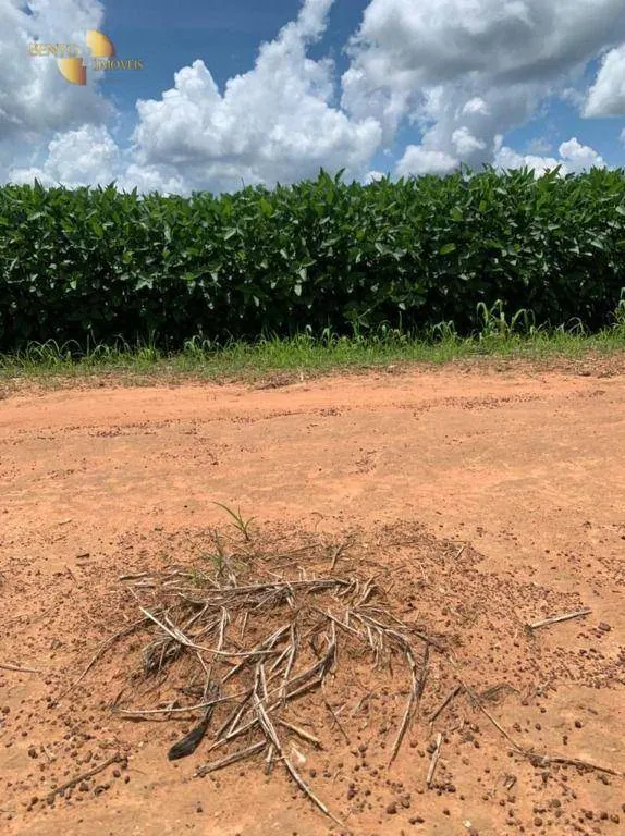 Fazenda à venda de 1.145 ha em Diamantino, MT, Brasil