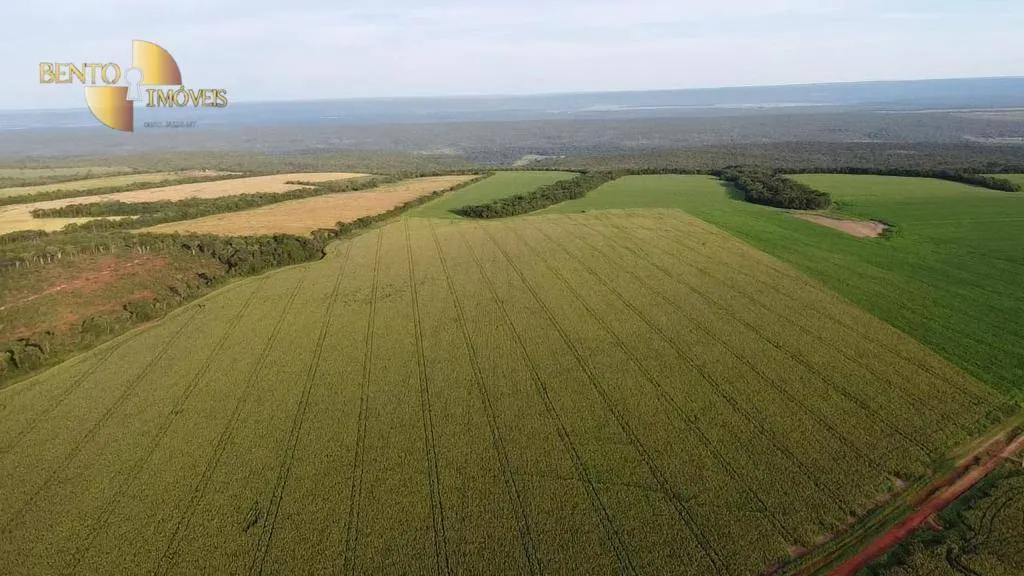 Fazenda à venda de 1.145 ha em Diamantino, MT, Brasil