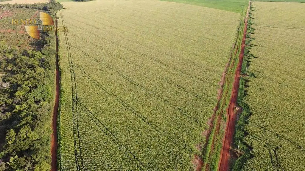 Fazenda à venda de 1.145 ha em Diamantino, MT, Brasil