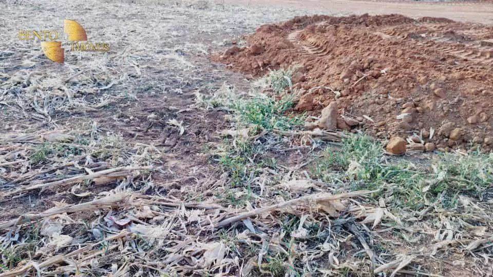 Fazenda à venda de 1.145 ha em Diamantino, MT, Brasil