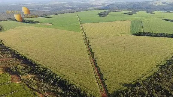 Fazenda à venda de 1.145 ha em Diamantino, MT, Brasil