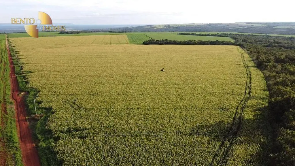Fazenda à venda de 1.145 ha em Diamantino, MT, Brasil
