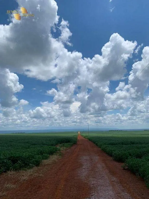 Fazenda à venda de 1.145 ha em Diamantino, MT, Brasil