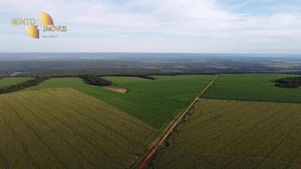 Fazenda à venda de 1.145 ha em Diamantino, MT, Brasil