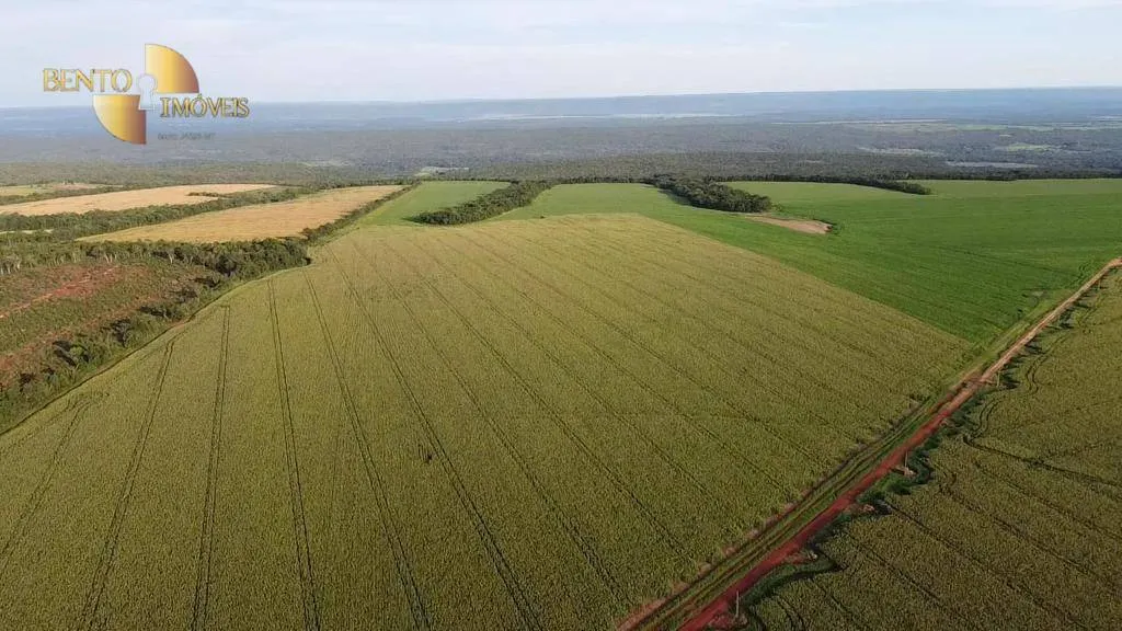 Fazenda à venda de 1.145 ha em Diamantino, MT, Brasil