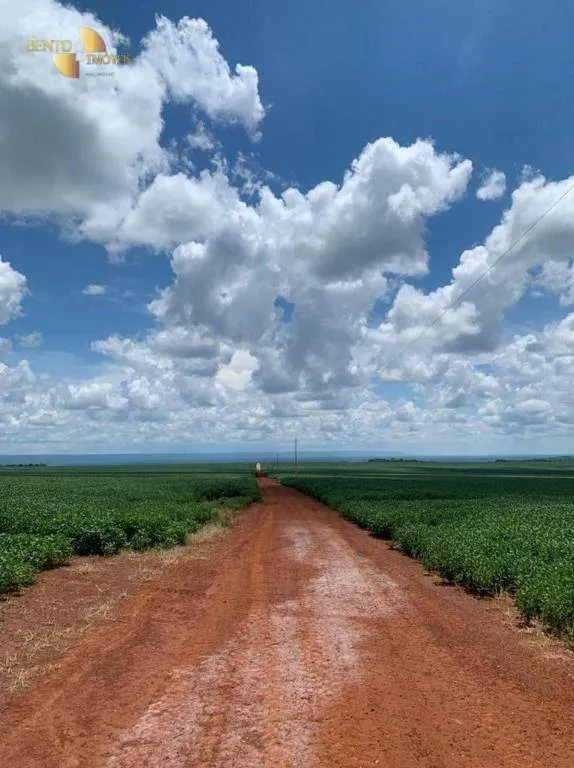 Fazenda à venda de 1.145 ha em Diamantino, MT, Brasil