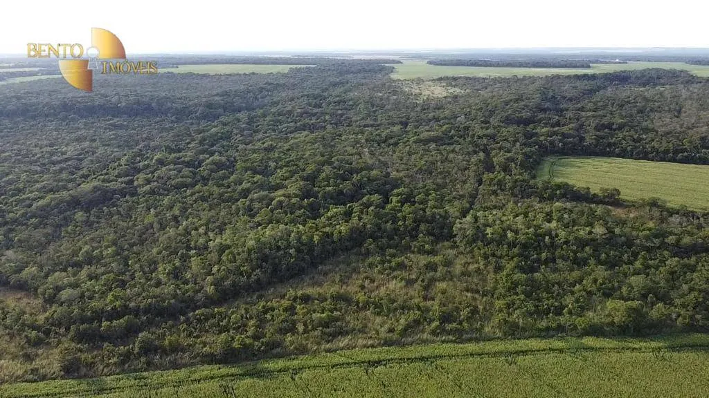 Fazenda à venda de 1.145 ha em Diamantino, MT, Brasil