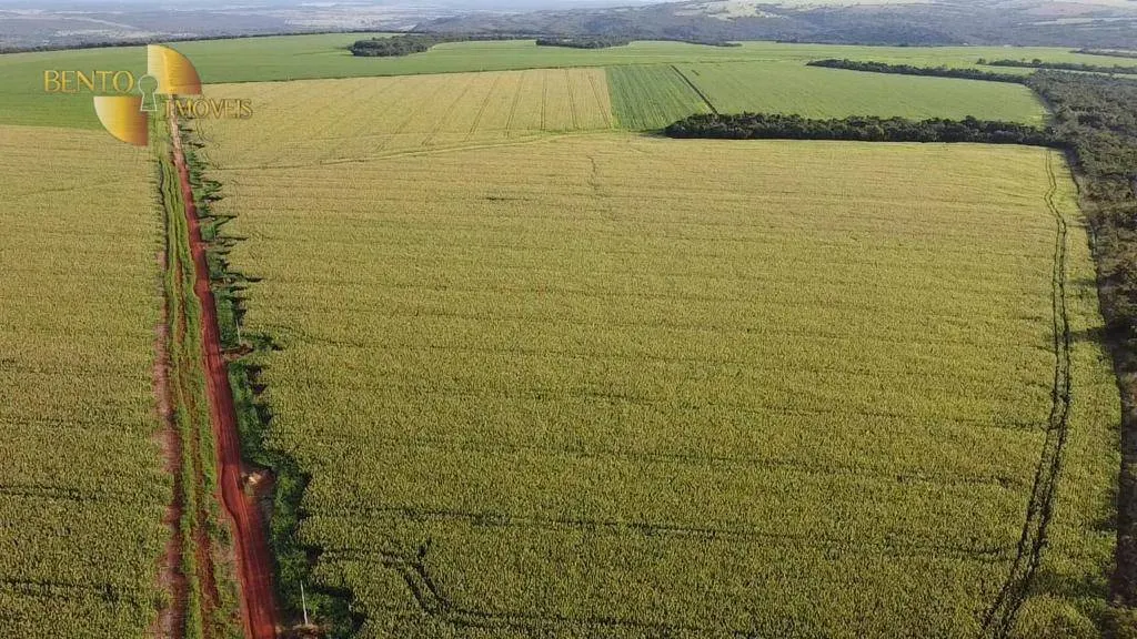 Fazenda à venda de 1.145 ha em Diamantino, MT, Brasil
