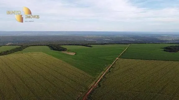 Fazenda à venda de 1.145 ha em Diamantino, MT, Brasil