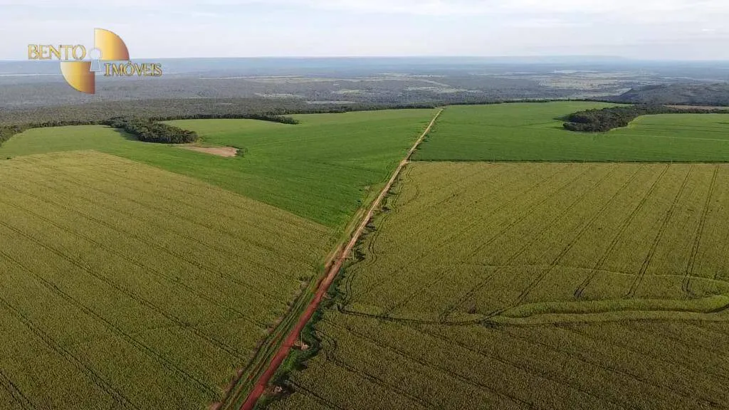 Fazenda à venda de 1.145 ha em Diamantino, MT, Brasil