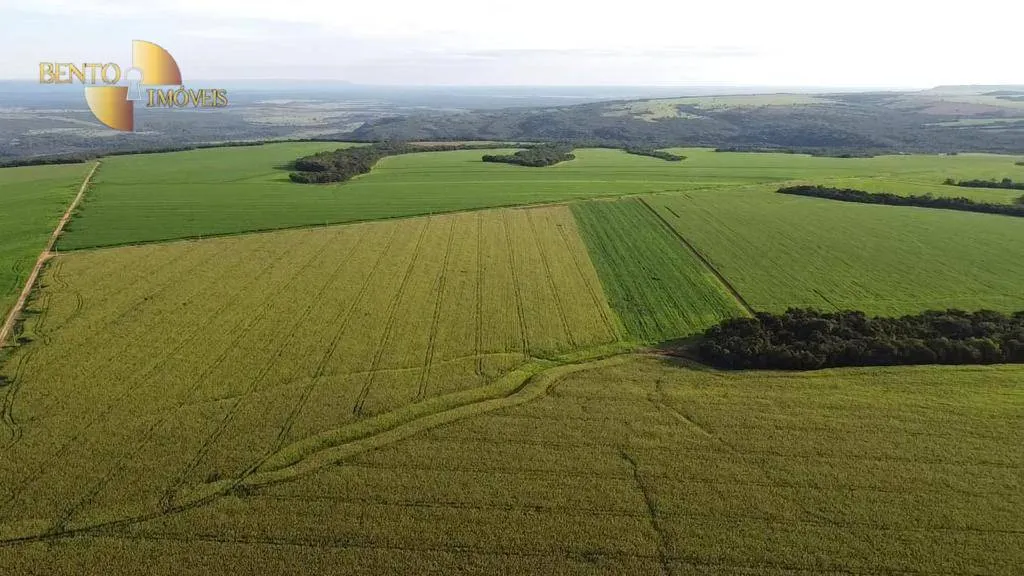 Fazenda à venda de 1.145 ha em Diamantino, MT, Brasil