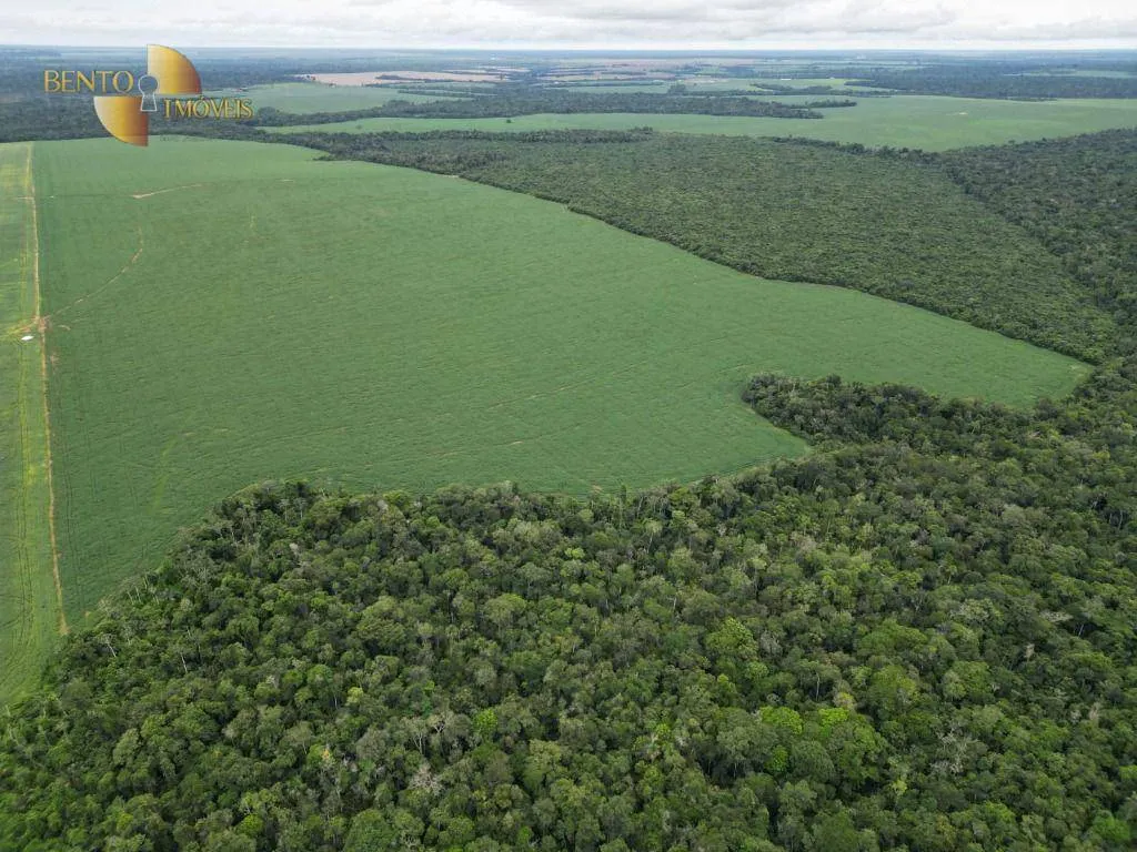 Fazenda à venda e para Arrendar de 497 ha em Tapurah, MT, Brasil